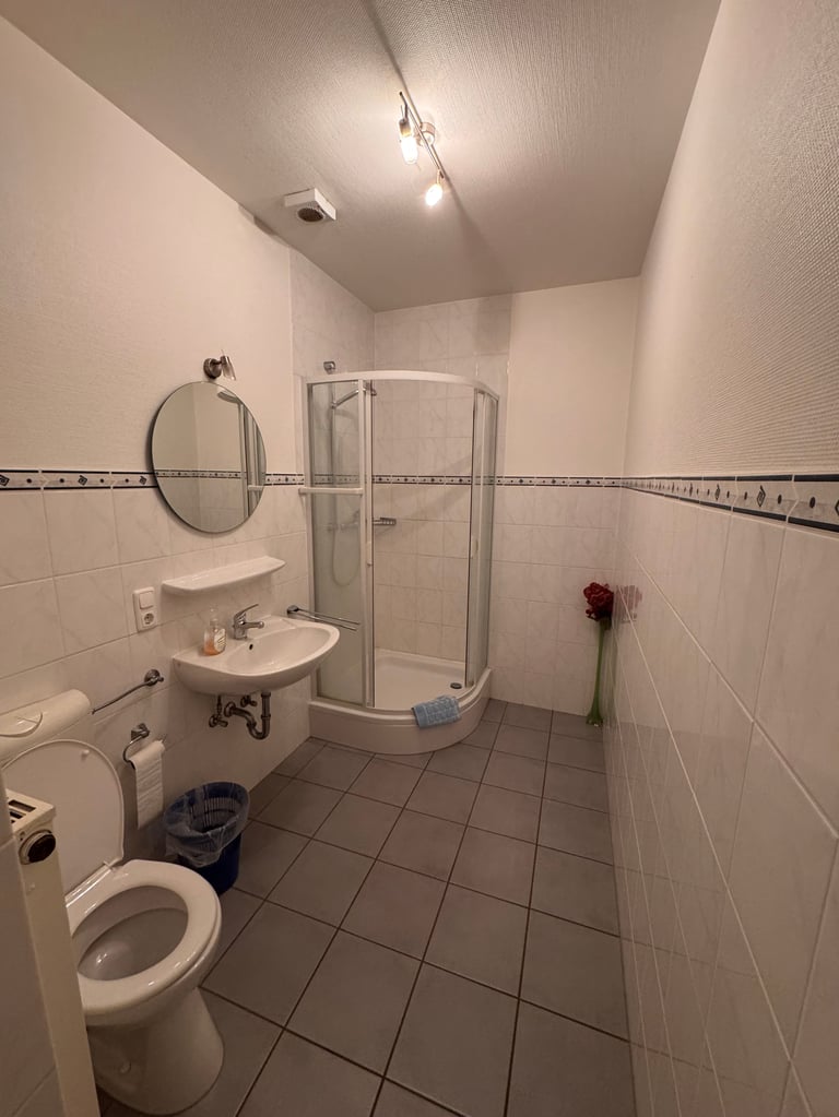 Modern bathroom with white tile walls, corner shower enclosure, wall-mounted sink with mirror, and toilet